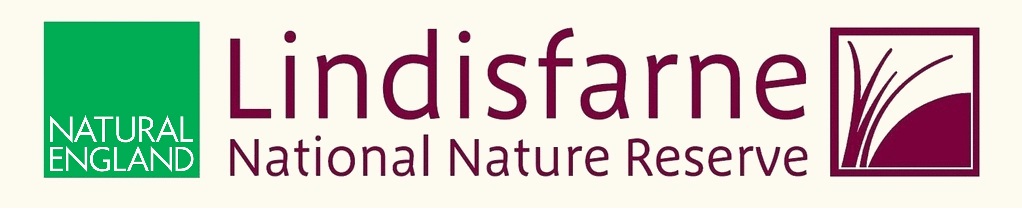 Lindisfarne National Nature Reserve