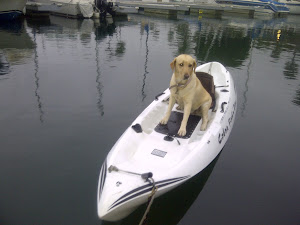 Buttercup on the Kayak I Pull Behind Boat.