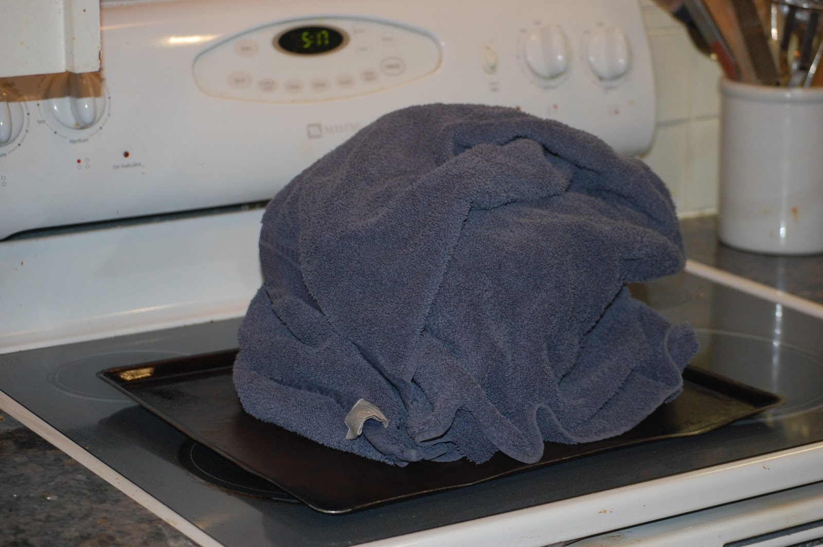 This, That, and the Mother Thing Homemade Yogurt