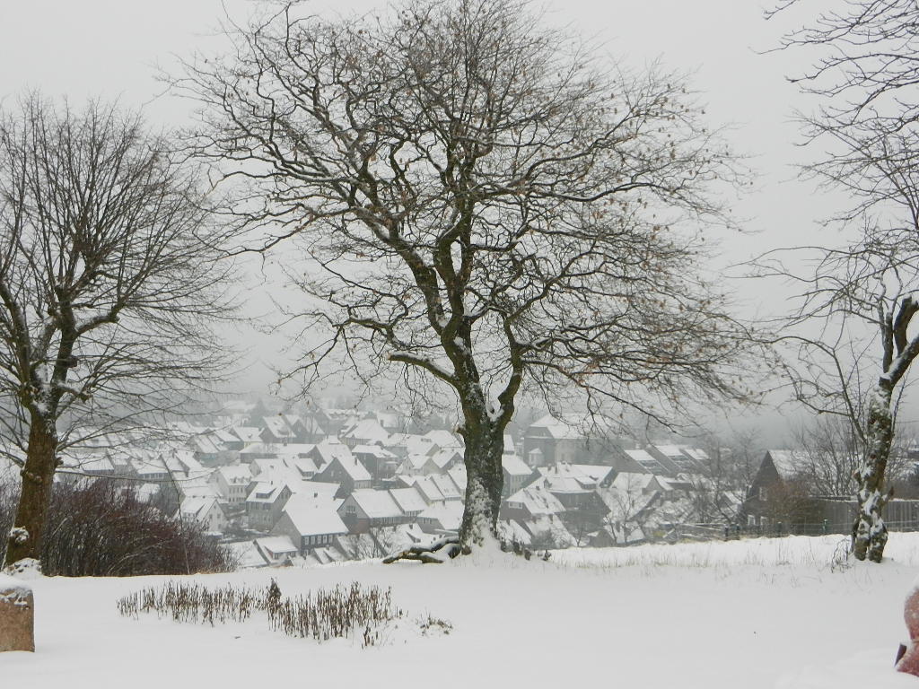 Stadtplan Von St Andreasberg Mit Wander Und Skiwegekarte Des