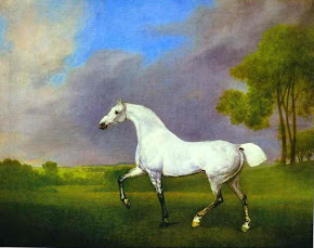 Grey horse in a landscape