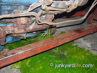 Antifreeze spills onto floor and makes a big mess even if you drain radiator. A lot of fluid is housed in these old engine blocks.