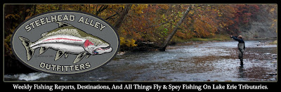 Steelhead Alley Outfitters- Lake Erie Fly Fishing Guide Service