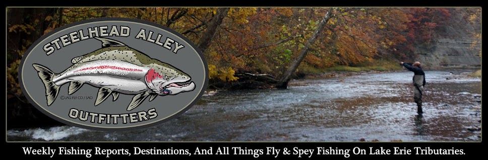 Steelhead Alley Outfitters- Lake Erie Fly Fishing Guide Service and Weekly River Reports