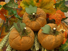 My pRiMiTiVe Pumpkins