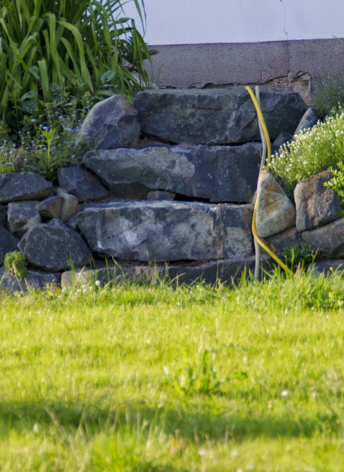 Seelengluck Mauerbau 2012 2014