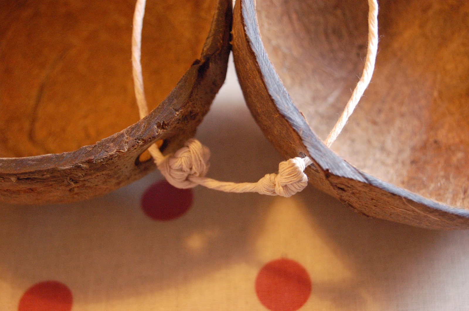 Paper Yak How to make a Coconut Bra [Photo Heavy]