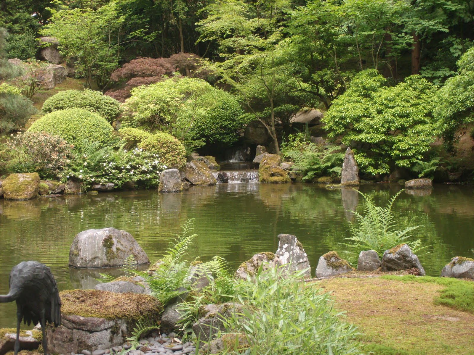 Taking a deeper look at the Portland Japanese Garden