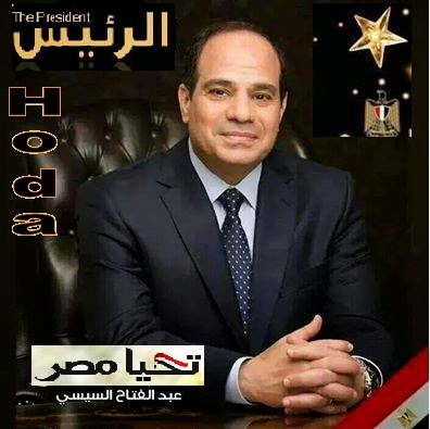 Abdel-Fattah El-Sisi, President