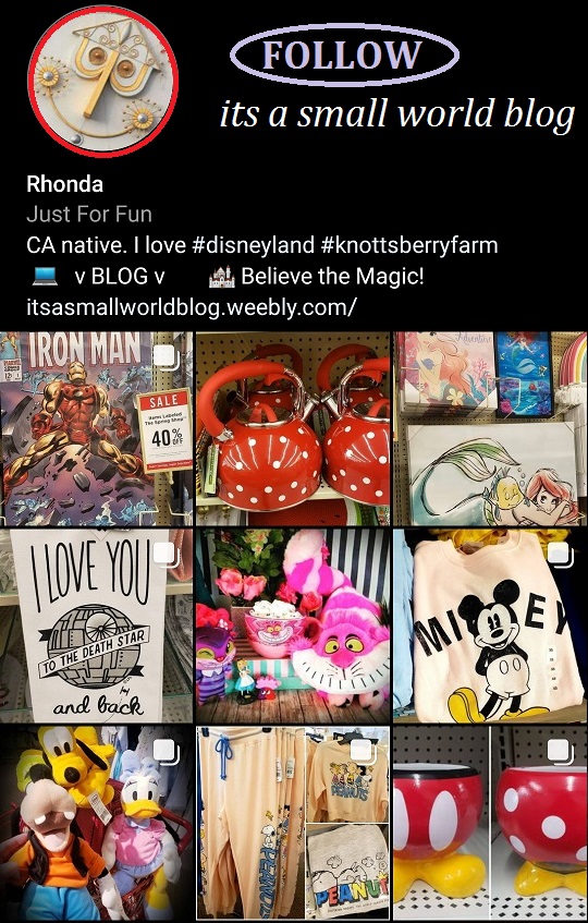 Disney + Theme Park Blog