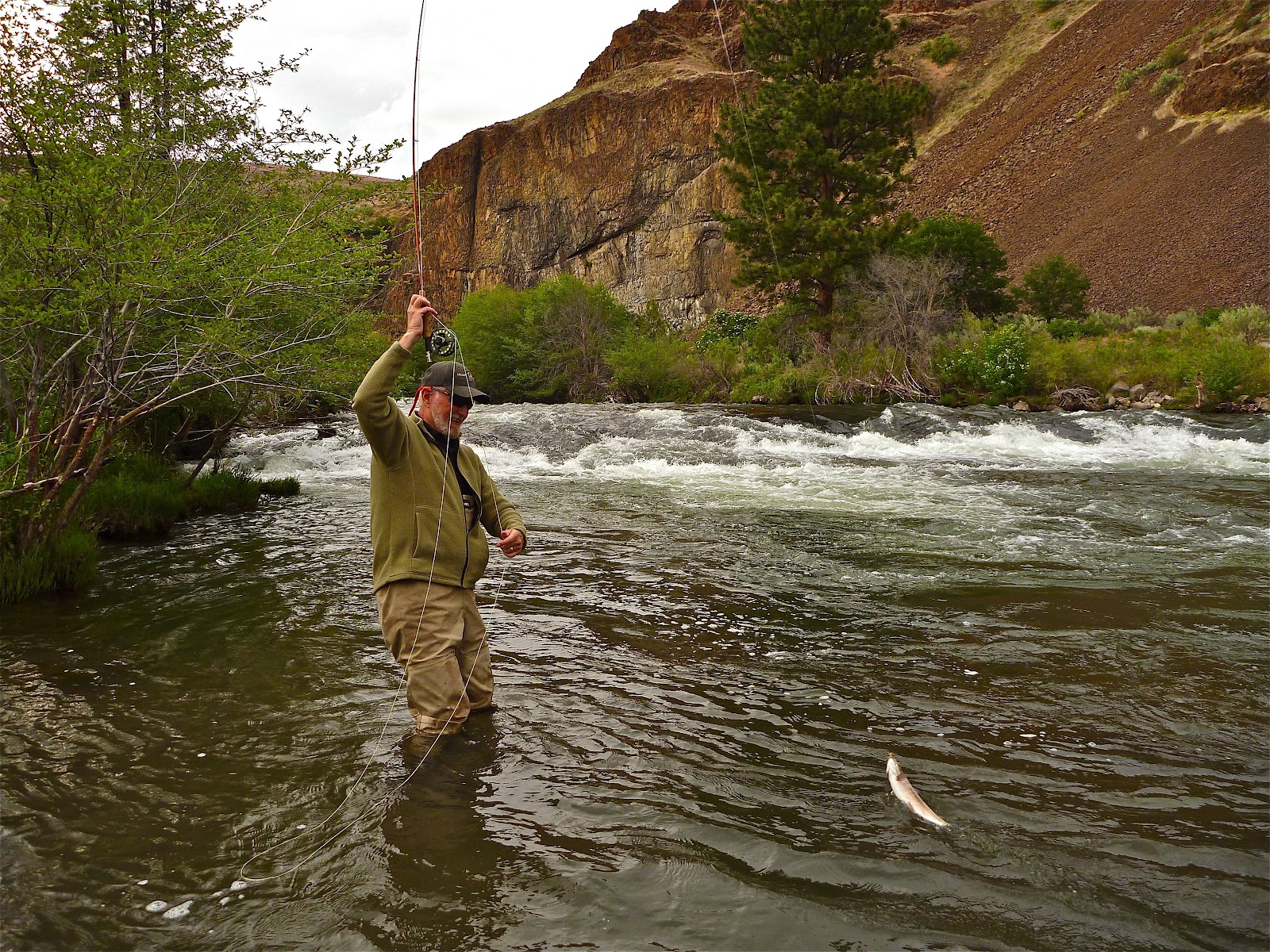 SILVEY'S FLYFISHING DESCHUTES RIVER REPORT