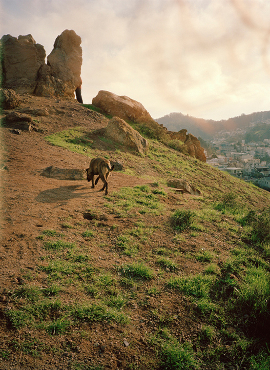 Why Is Philadelphia Not Much Like New York City By Steve Sailer