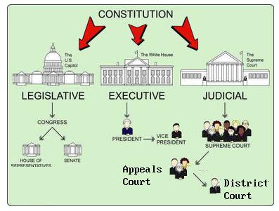 government-structure.jpeg