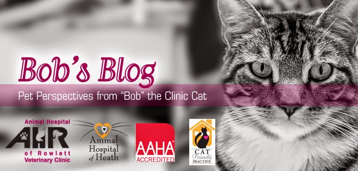 Bob's Blog - Animal Hospital of Rowlett