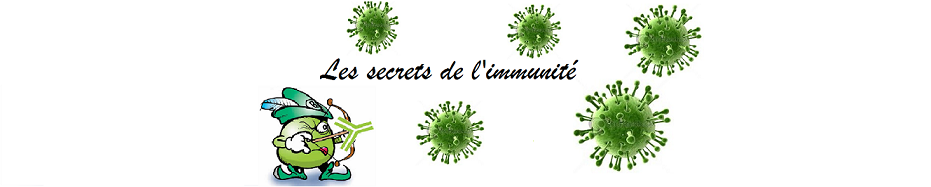 Les secrets de l'immunite