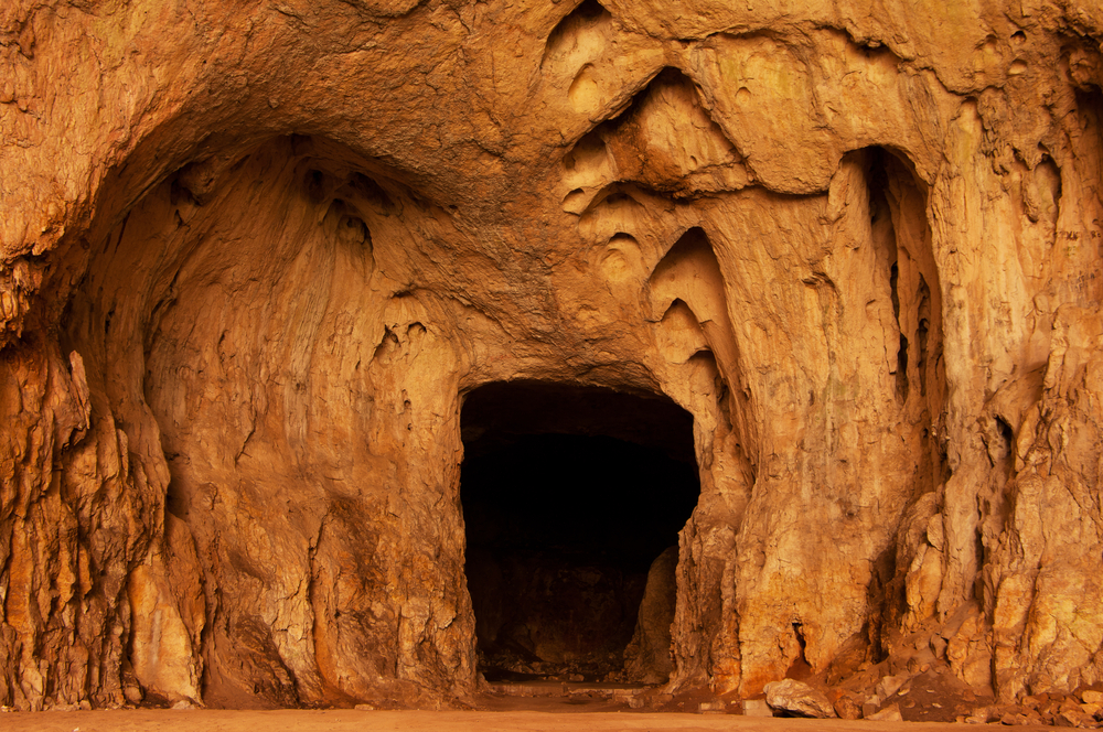 Life Inside the Cave