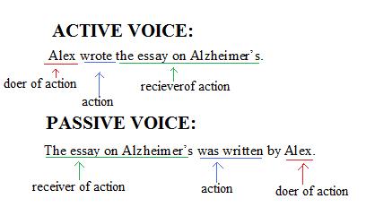 Essay about passive voice