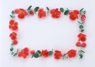 Red roses wedding Photos Frames