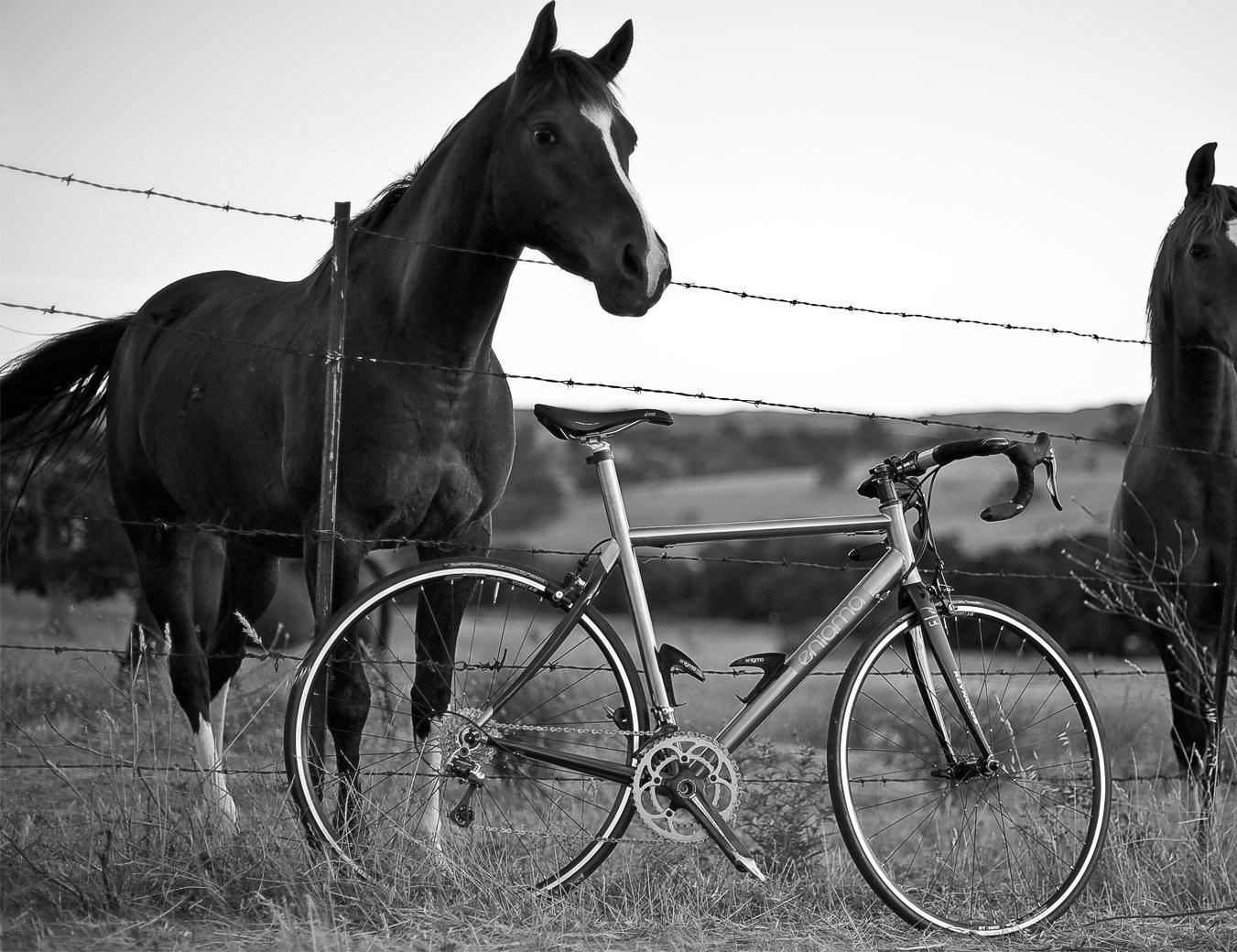 Cardio Trek Toronto Personal Trainer Walking and Hiking