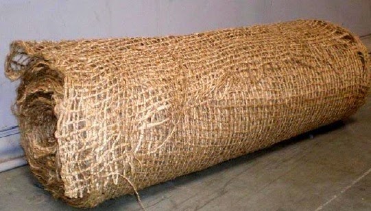 Verde Zona: Erosión II; consecuencias y soluciones