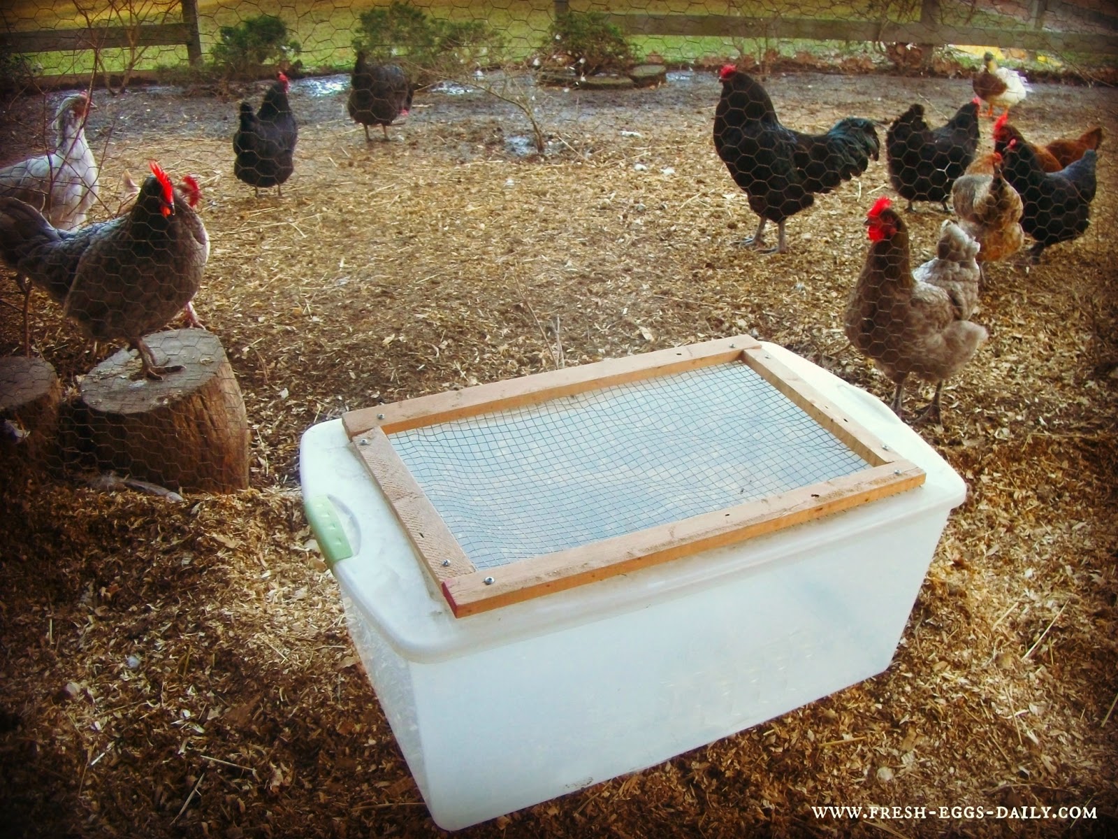 Easy DIY Chick Brooder Box Tutorial Fresh Eggs Daily®