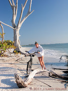 Biking on the beach, among the driftwood and dead trees. (biking on the beach)