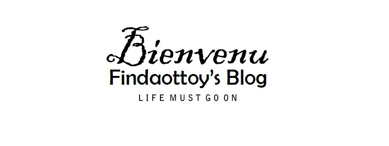 Findaottoy's Blog