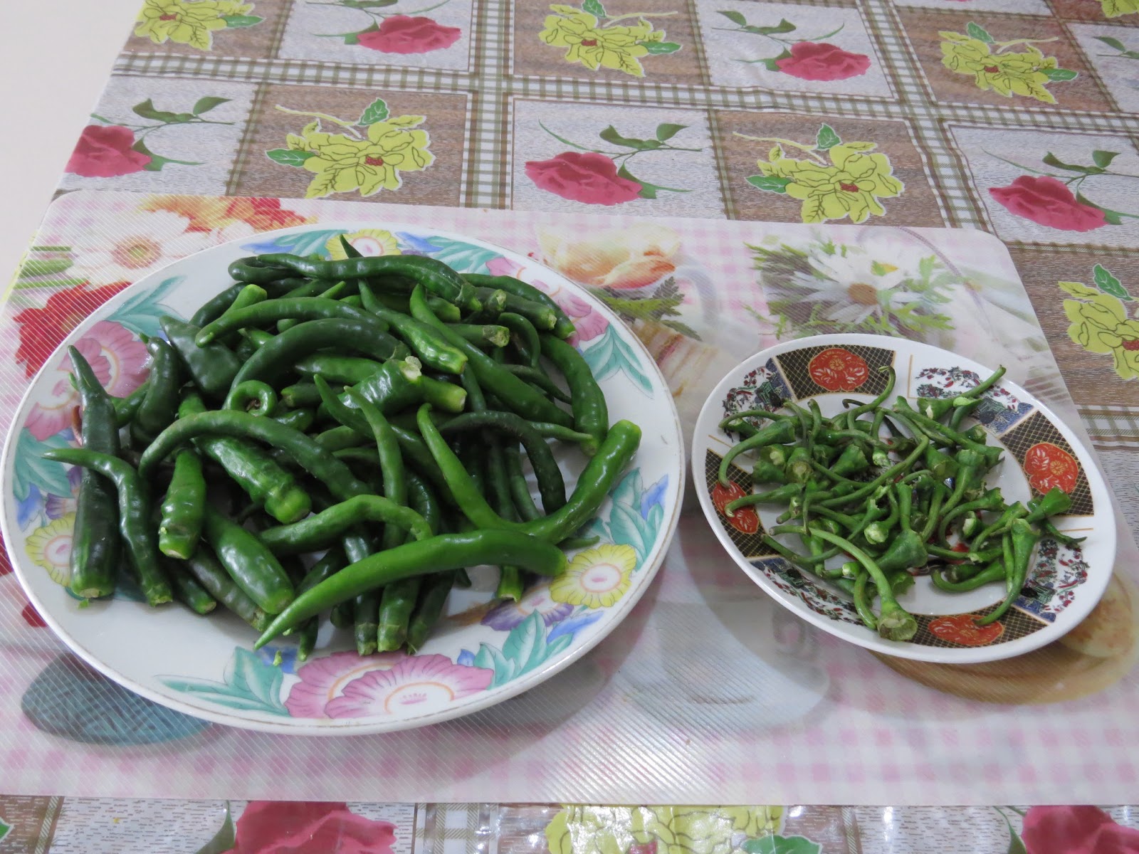 With Love from Mom's Kitchen Maintain the Freshness of Green Chilies