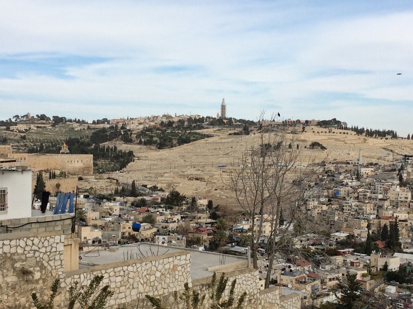 andy at faith The Miracles of Jesus Cursing the Fig Tree