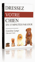 “Dressez Votre Chien en 15 Minutes Par Jour”