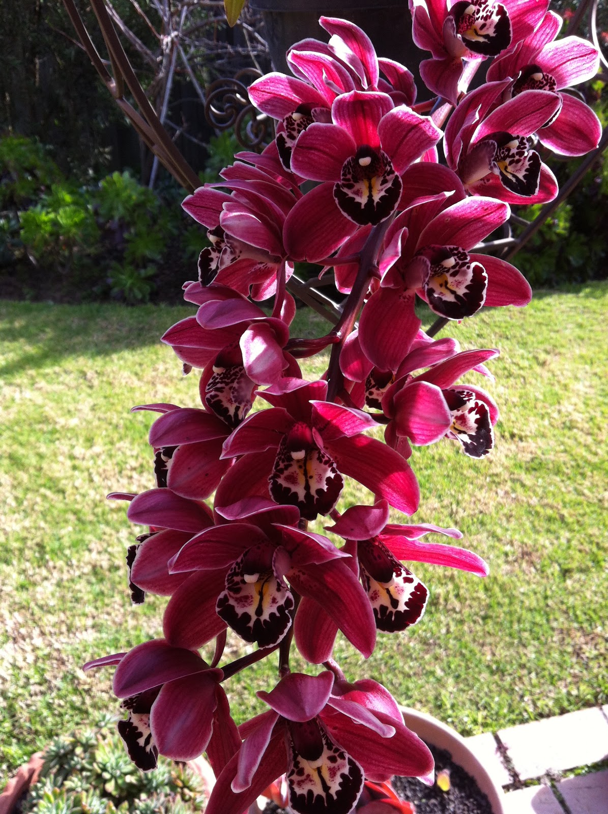 CheeKeeLee: Winter Garden in Melbourne