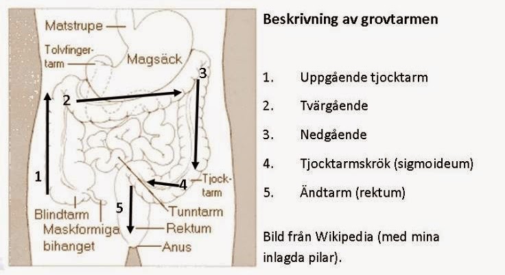 läckande tarm förstoppning
