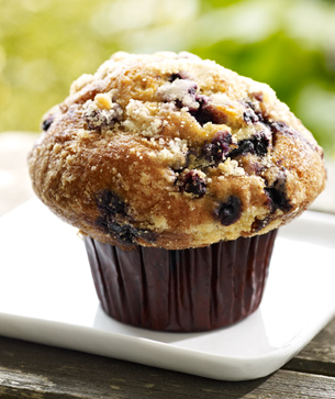 Blueberry Muffin Coffee Bean Calories Blueberry Muffin Coffee Bean Calories