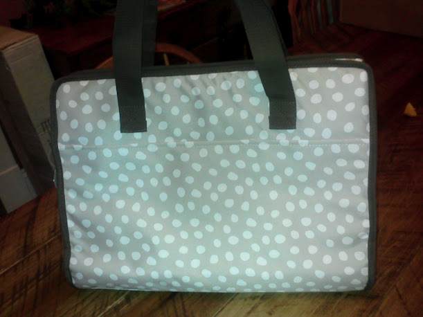 thirty-one, Bags, 3 Thirty One Gifts Blue Green Brown Polka Dot Thermal  Lunch Tote W Side Pocket