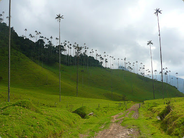 Salento,Quindio