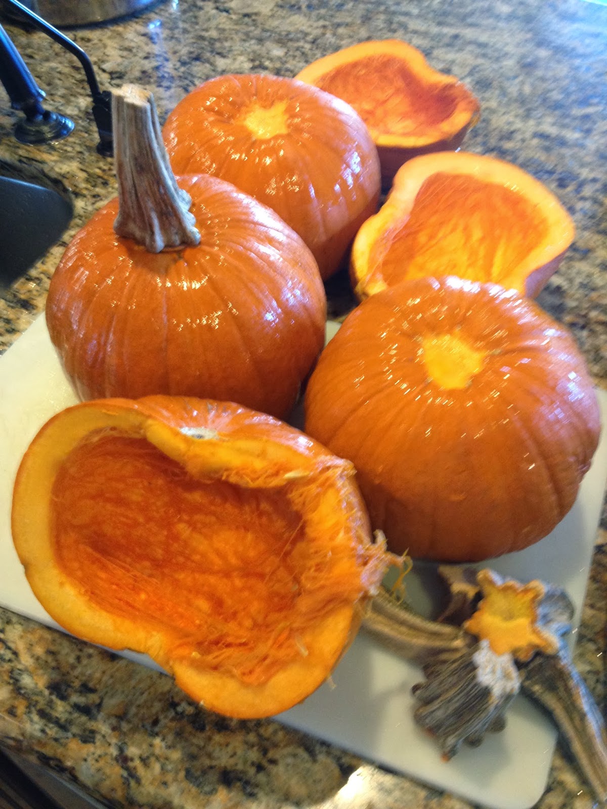 Jenkins Kid Farm Fresh Pumpkin Puree Made With Your Microwave!