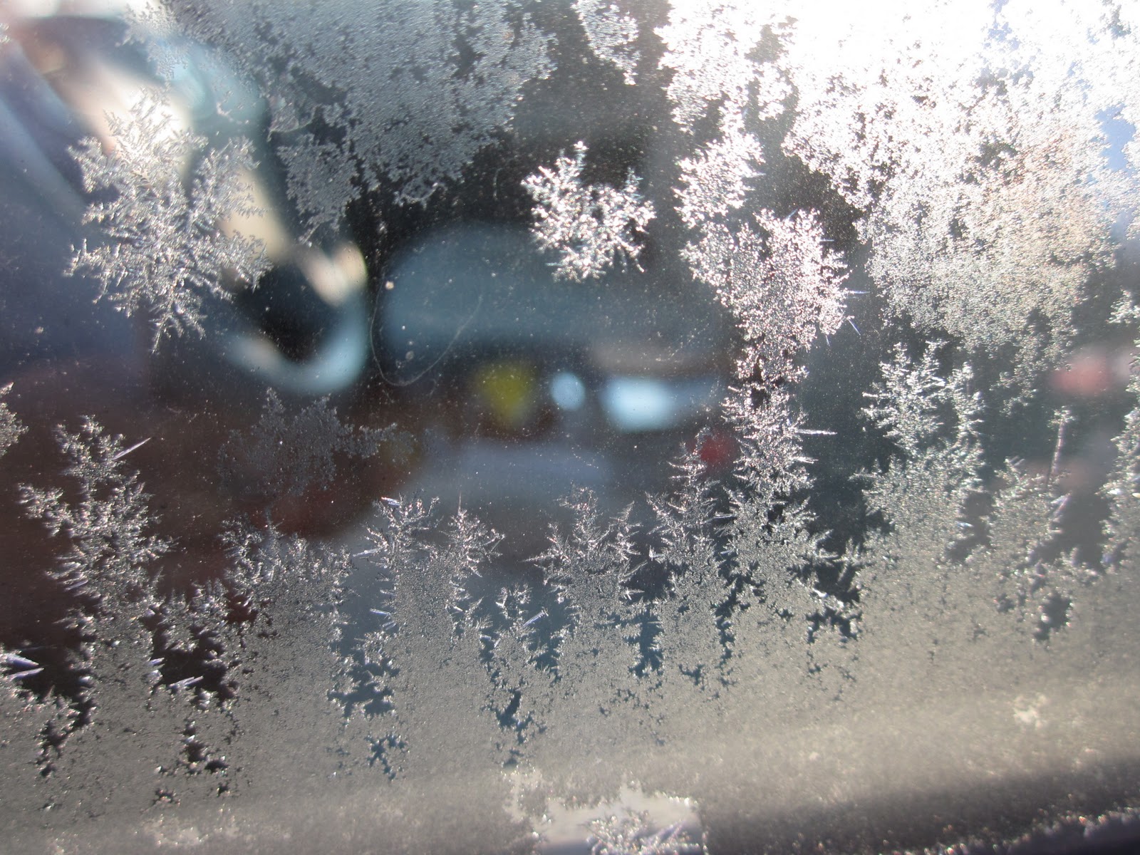 Life Through My Lens Frosted Window Panes