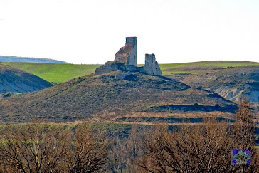 Castillo de Rojas (Burgos) Foto Zález