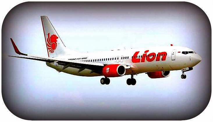 Cara Naik Pesawat Lion Air | cara booking tiket pesawat lion air di internet melalui Cara Naik Pesawat Lion Air | cara booking tiket pesawat lion air di internet melalui