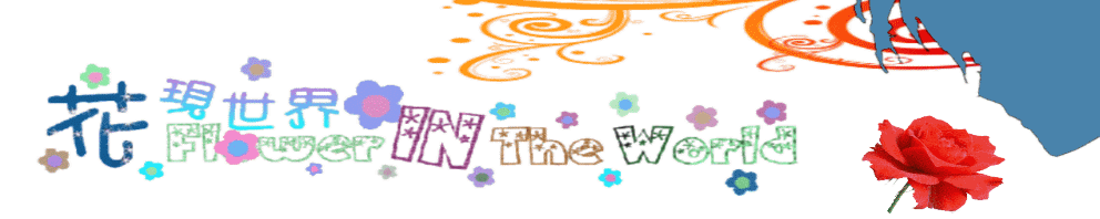 花現世界Flower In The World