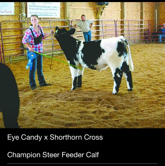 Trausch Farms Champ Feeder Steer