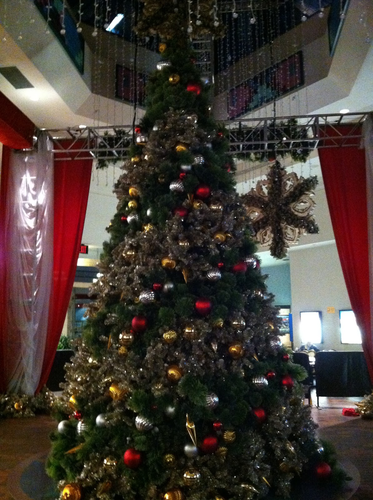 It's All About Purple The Connecticut Christmas Trees