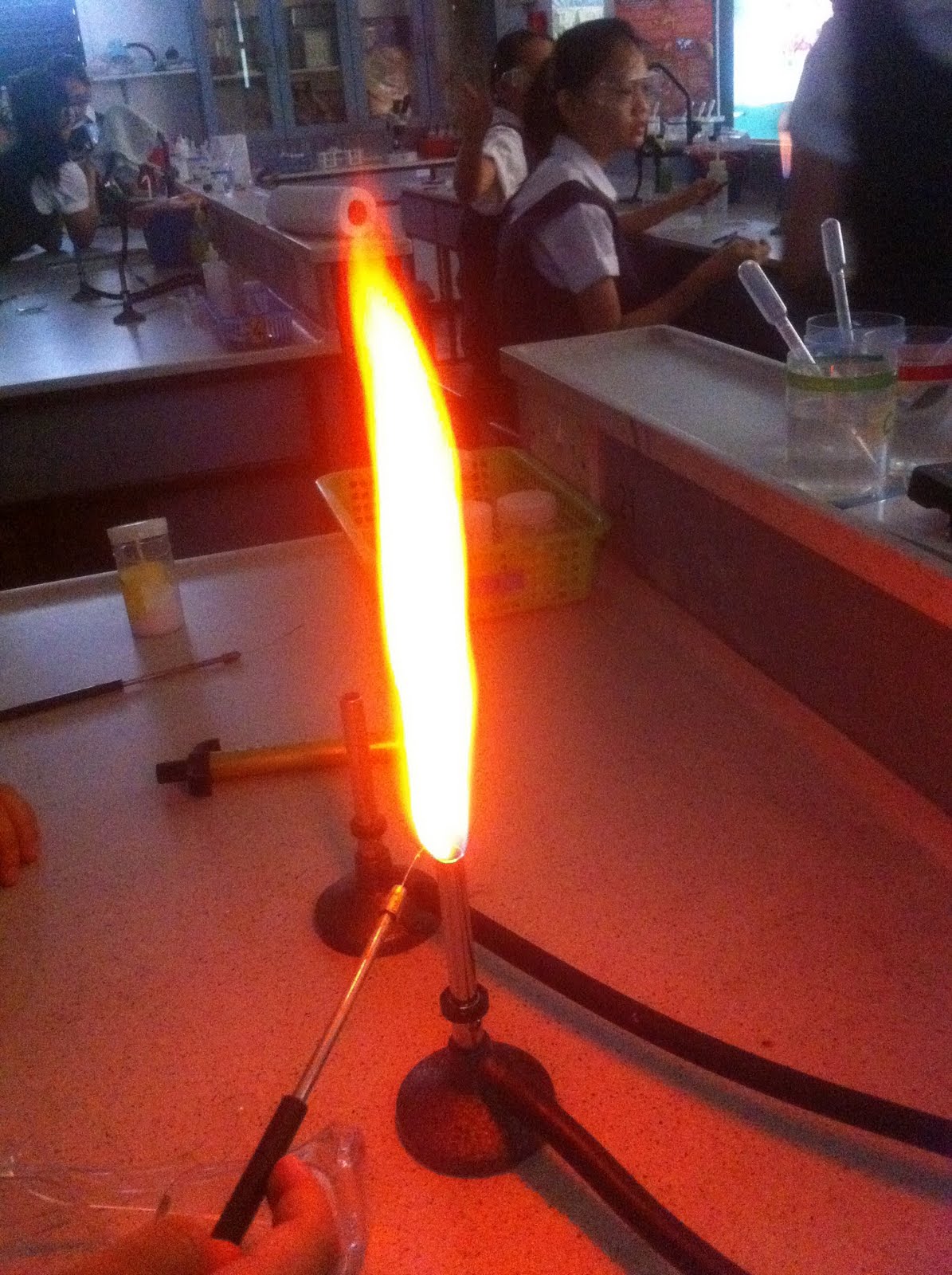 Crime Scene Investigation Chromatography and Flames
