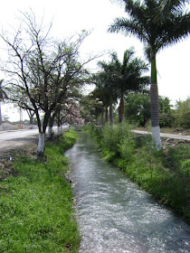 CANAL DE RIEGO EN MANTE