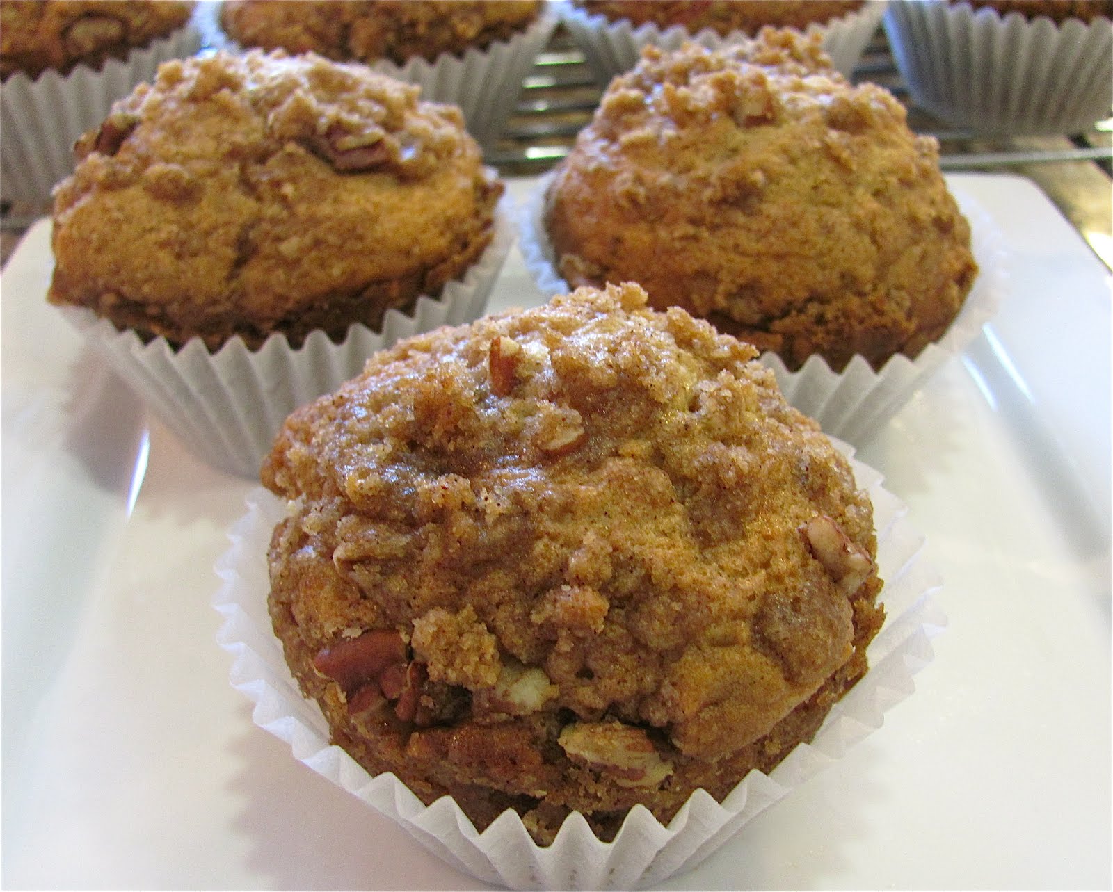 Sprinkle Some Sunshine! coffee cake muffins with cinnamon streusel party!
