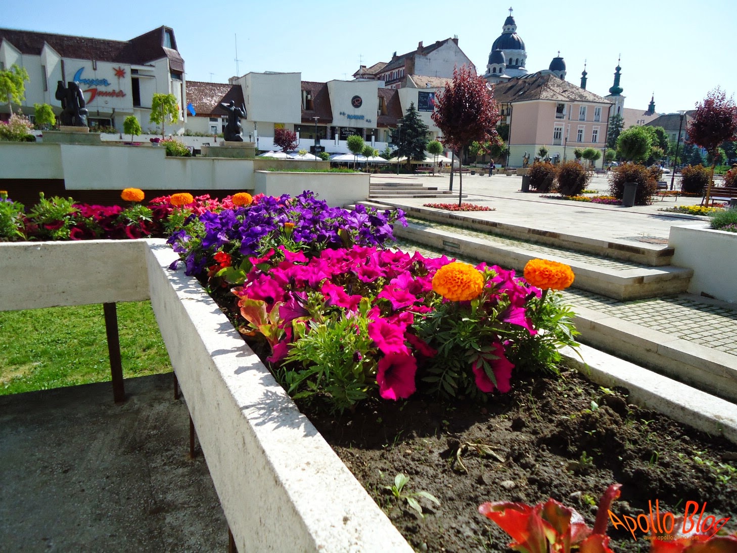 Apollo Blog Targu Mures 26.05.2014