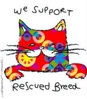 Please consider adopting a shelter cat and saving a life!