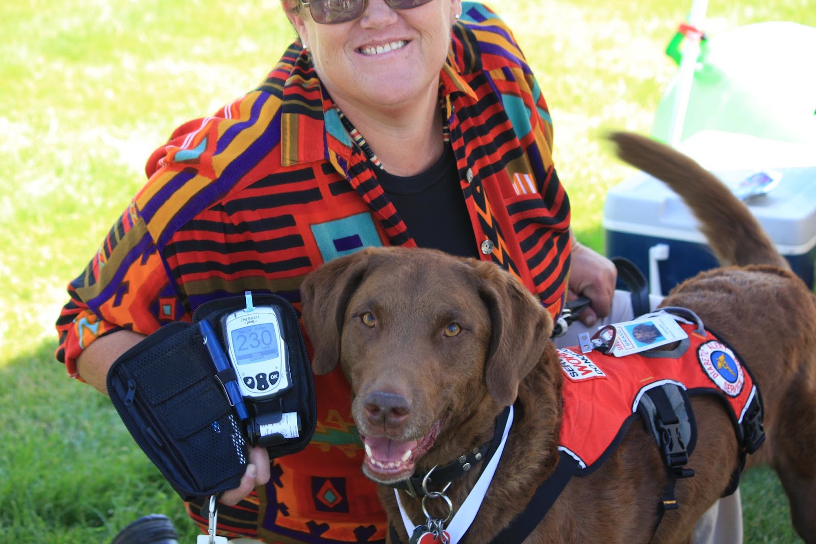 Journey Of A Diabetic Alert Dog Health Mascot