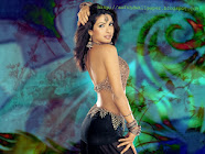 Priynka Chopra HD Wallpaper