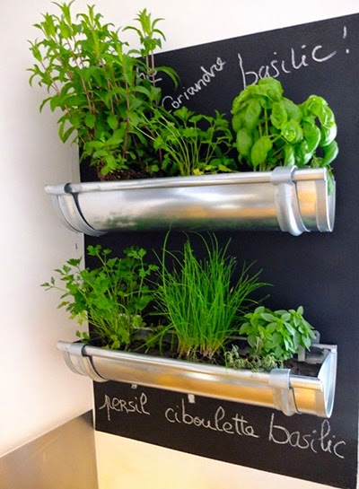 Hierbas en la cocina / Herbs at the kitchen | Decoración